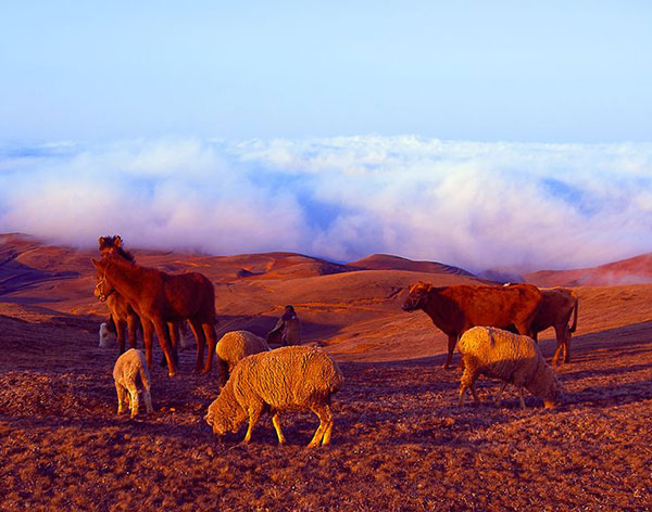 昭通365bet新地址_365betappios_healthy 365 app建设